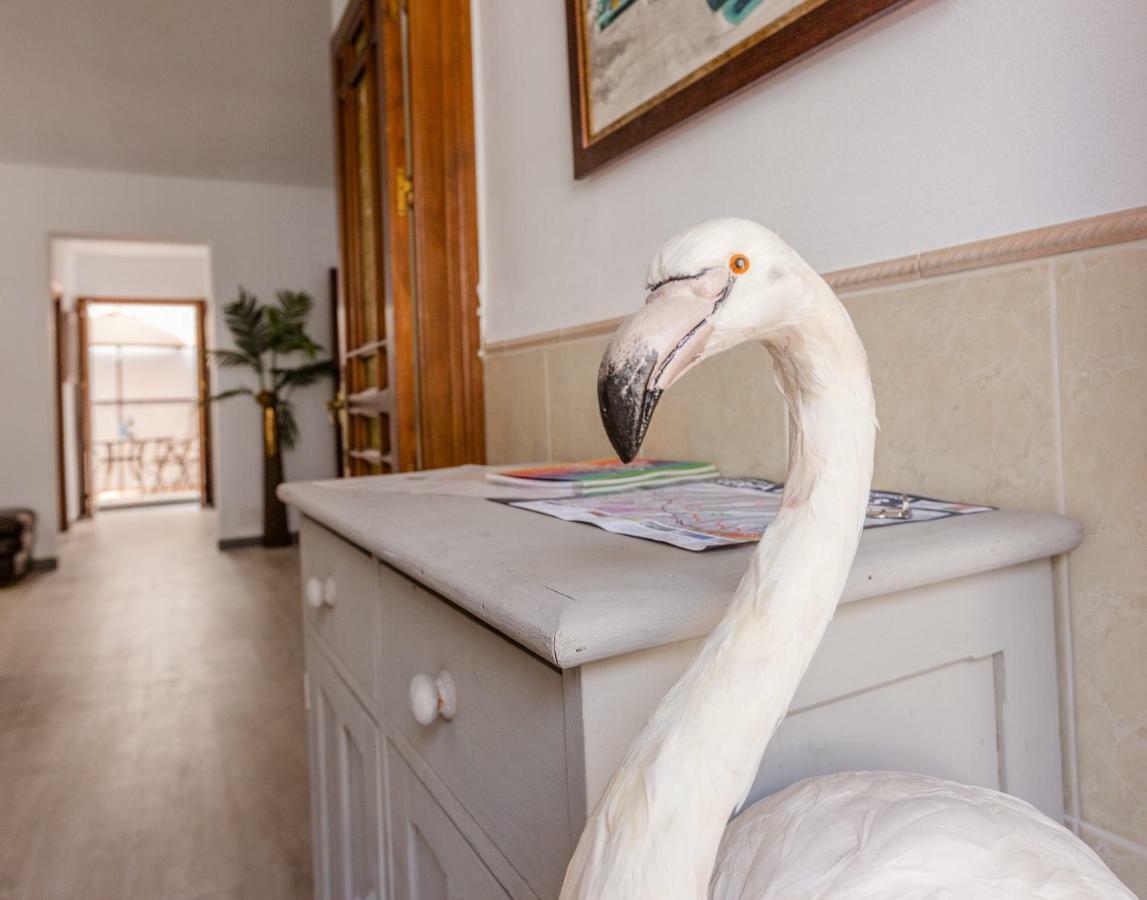 Alhaurin Old Town, Casa Flamingo, 2 Bed Apartment Alhaurín el Grande エクステリア 写真